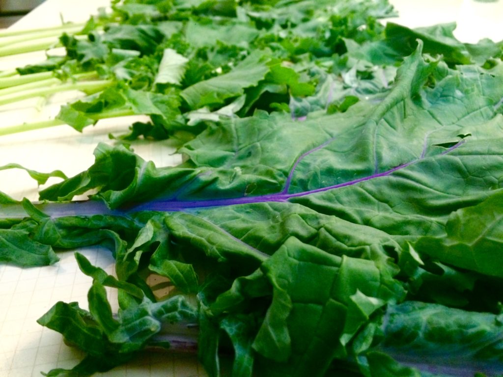 Kale Its Amazing Benefits & Why You Should Eat It! Gutsy
